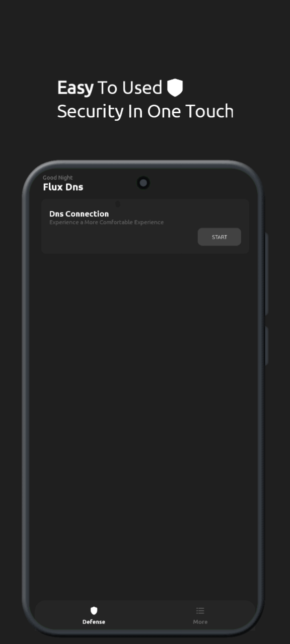 Flux DNS Screenshot 2